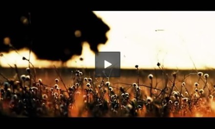 Nuevo Videoclip – Sus Manos